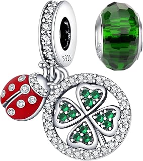 LNQOBU 925 Sterling Silver Charms for Bracelets and Necklaces Pendants Beads Mother's Day Charms Jewelry Gift for Women Girls