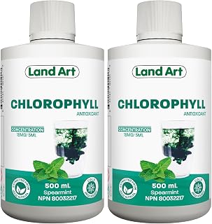 Chlorophyll, Cold-Extracted, Wild Alfalfa, Body Odor, Mint, 500 ml (2-Pack)