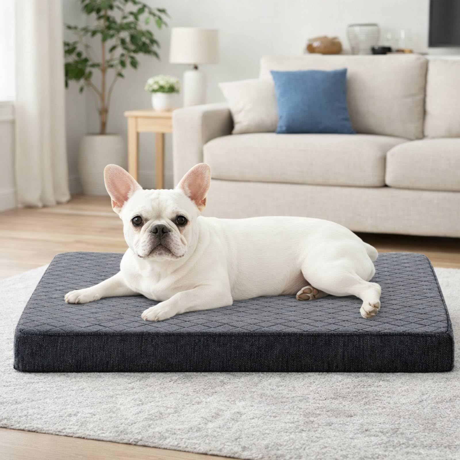 JOEJOY Small Orthopedic Dog Bed Washable, Dog Crate Bed Dog Mattress with Remova