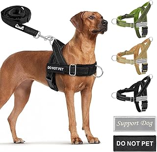 SlowTon No Pull Dog Harness and Leash Set - Heavy Duty, Soft Padded | Neck & Chest Adjustable, Tactical Pet Vest with Front Clip for Large Medium Sized Dogs, for Easy Walk & Training, Black L