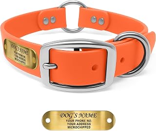Regal Dog Products Engraved Name Plate Dog Collar, Biothane, Medium Orange | Custom Engraved Nameplate w/ Dog's Name, Waterproof Biothane, Double Buckle & Center Ring, Easy to Clean