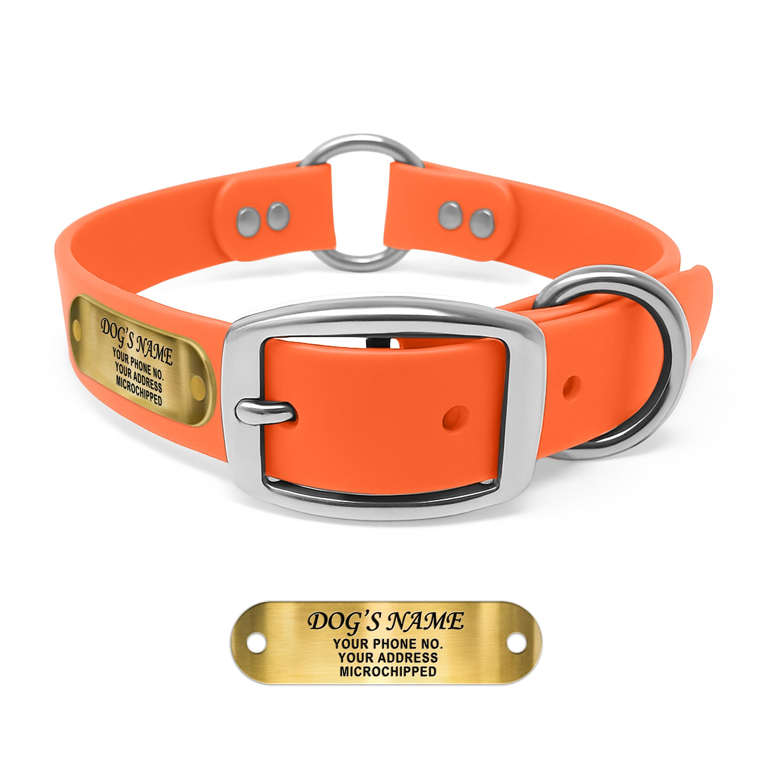 Regal Dog Products Engraved Name Plate Dog Collar, Biothane, Medium Orange | Cus