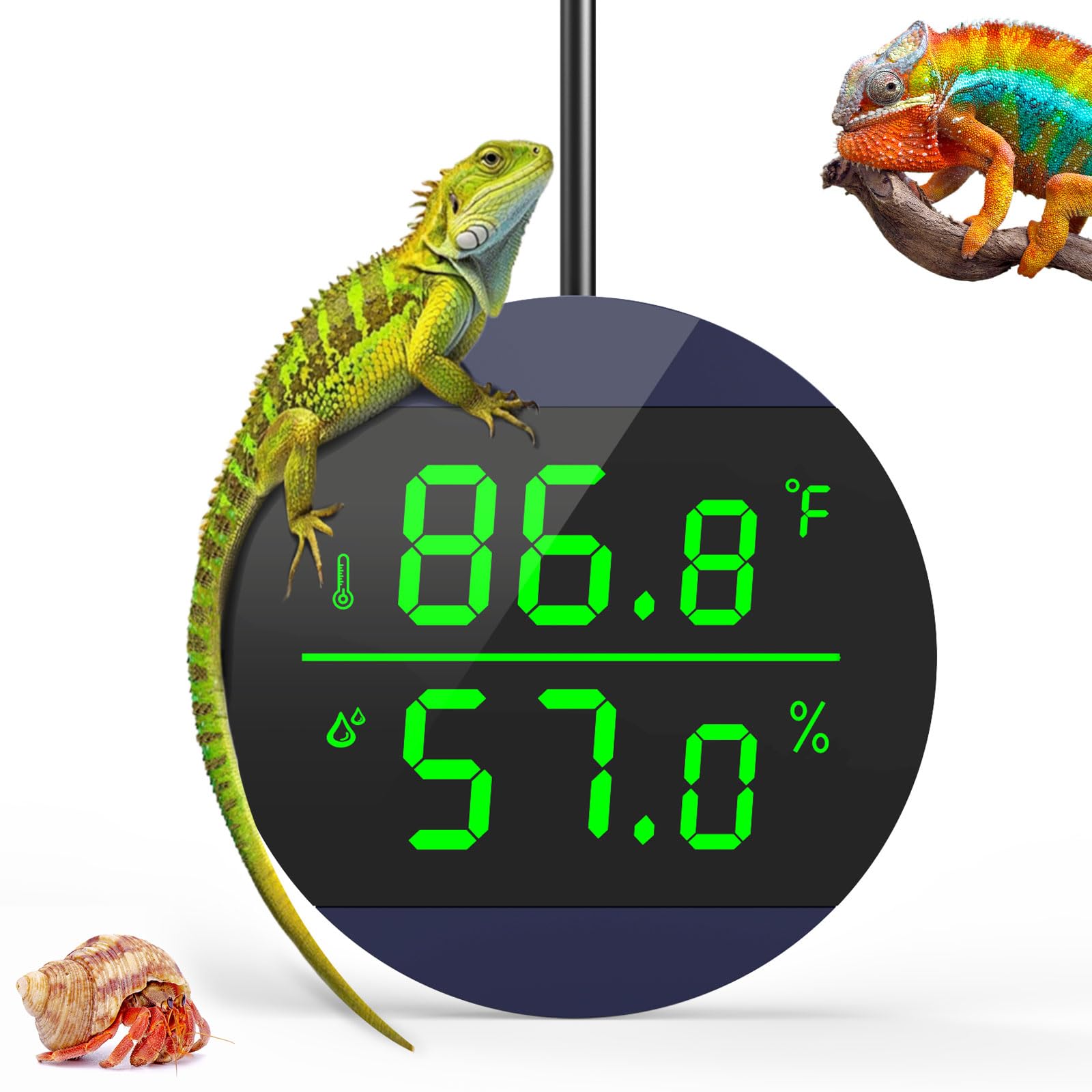 QZQ Reptile Thermometer and Humidity Gauge, Digital Display, Blue | LED Thermome