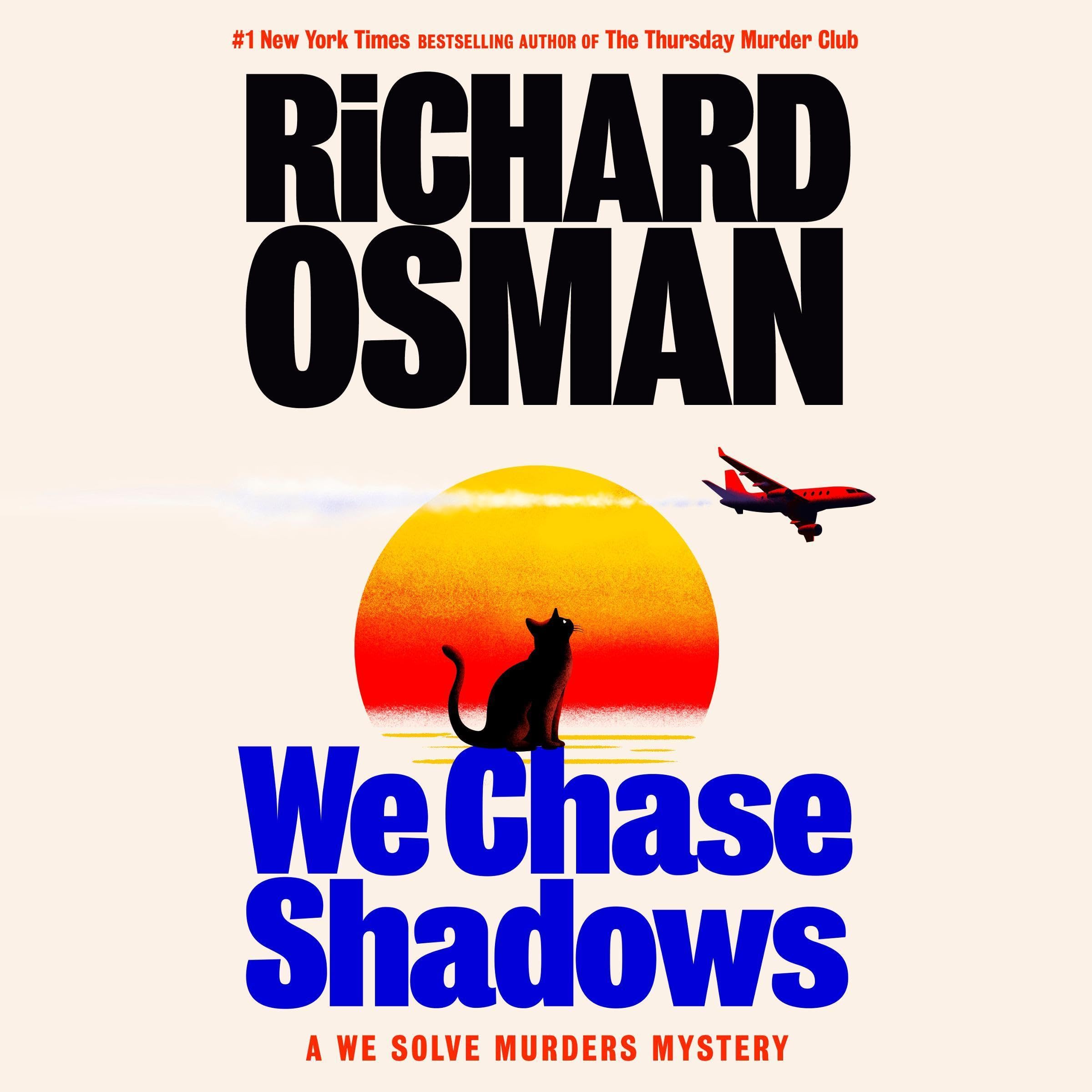 We Chase Shadows: A We Solve Murders Mystery