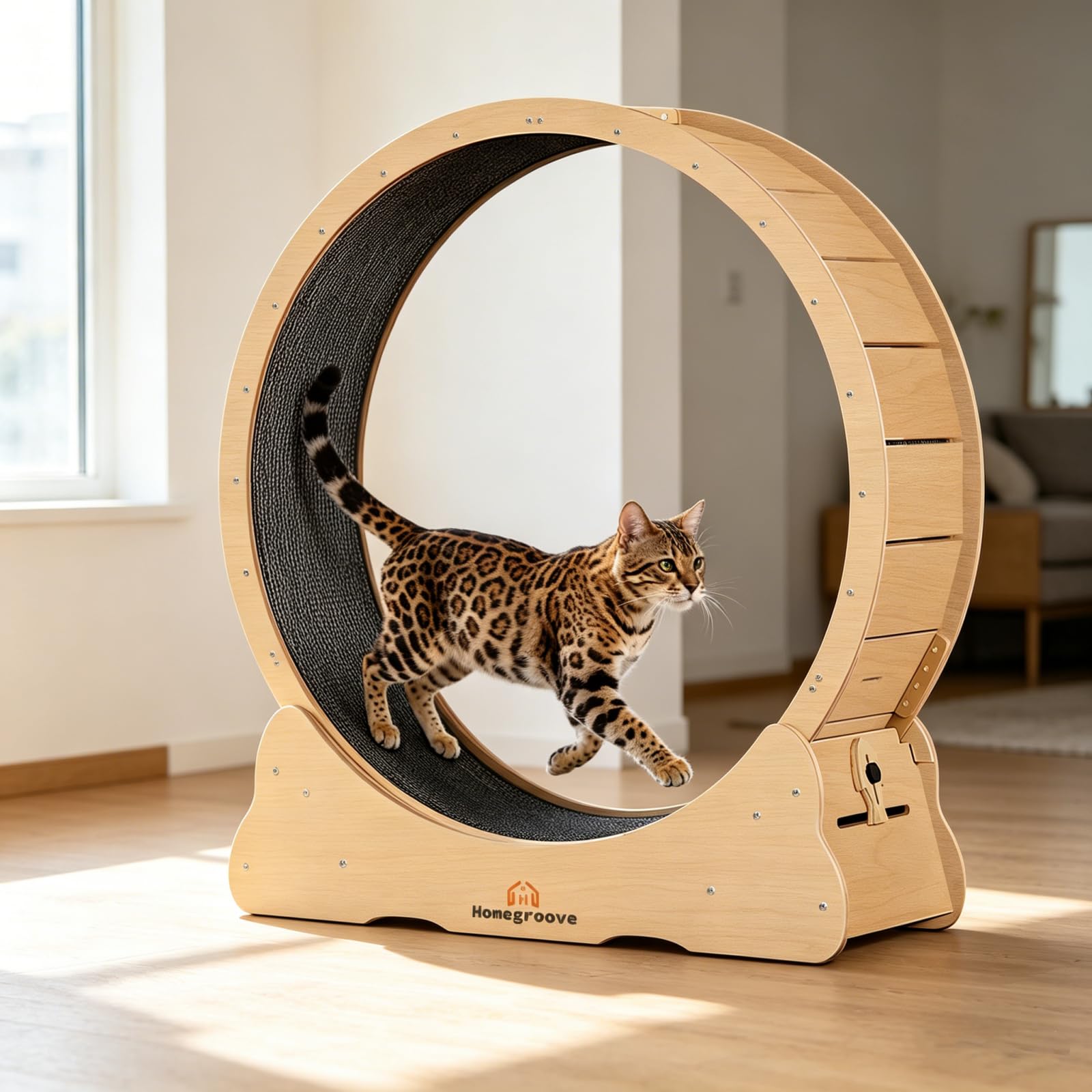 Homegroove Cat Wheel Treadmill, 46" XL Large Cat Exercise Running Wheel with Car