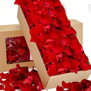1000+PCS Real Red Rose Petals, 8.5oz Dried Flower Confetti Petals