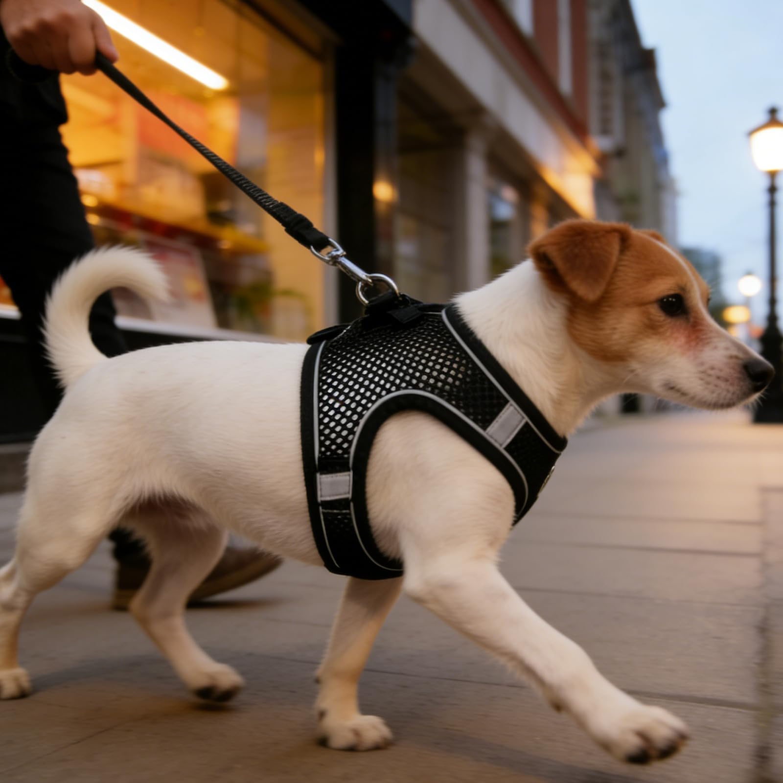 Dog Harness No Pull, Double Mesh Vest Harness, Small Medium Dogs, Adjustable Sof