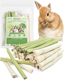 Bissap 40PCS Rabbit Chew Sticks, 20PCS Sweet Bamboo Chew Sticks & 20PCS Papaya Stems Bunny Chews for Rabbit Hamster Chinchilla Guinea Pig Small Animals Natural Molar Treats
