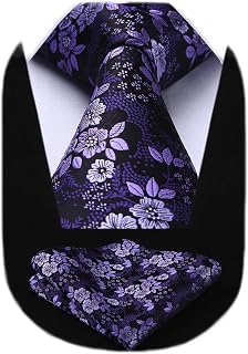 HISDERN Men's Ties Solid Colour Elegant Business Tie Wedding and Handkerchief Set Ties Classic Plaid Party