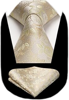 HISDERN Men's Ties Solid Colour Elegant Business Tie Wedding and Handkerchief Set Ties Classic Plaid Party