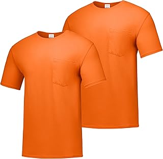 Hanes Men's Workwear Short Sleeve Tee (2-Pack)
