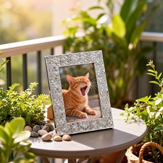6x8 inch Decorative Photo Frame, Tabletop Picture Frame, Desk, Home Photo Display, Textured Border Stand, Silver