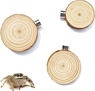 Anranmm 3 Pack Jumping Spider Enclosure Climbing Platforms, Magnetic Jumping Spider Wooden Ledge Ladder, Jumping Spider Accessories, Habitat Decor for Small Light Critters