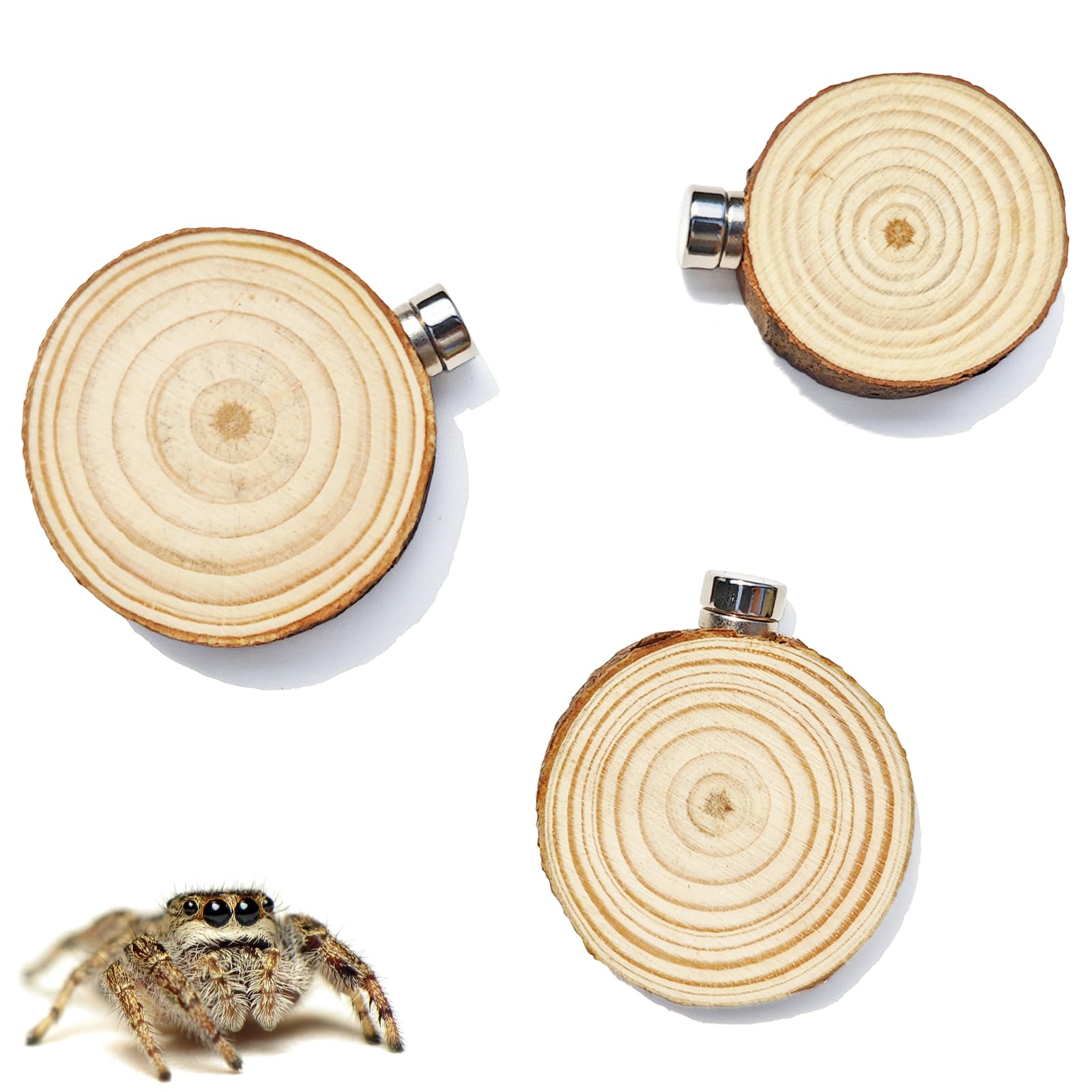Anranmm 3 Pack Jumping Spider Enclosure Climbing Platforms, Magnetic Jumping Spi