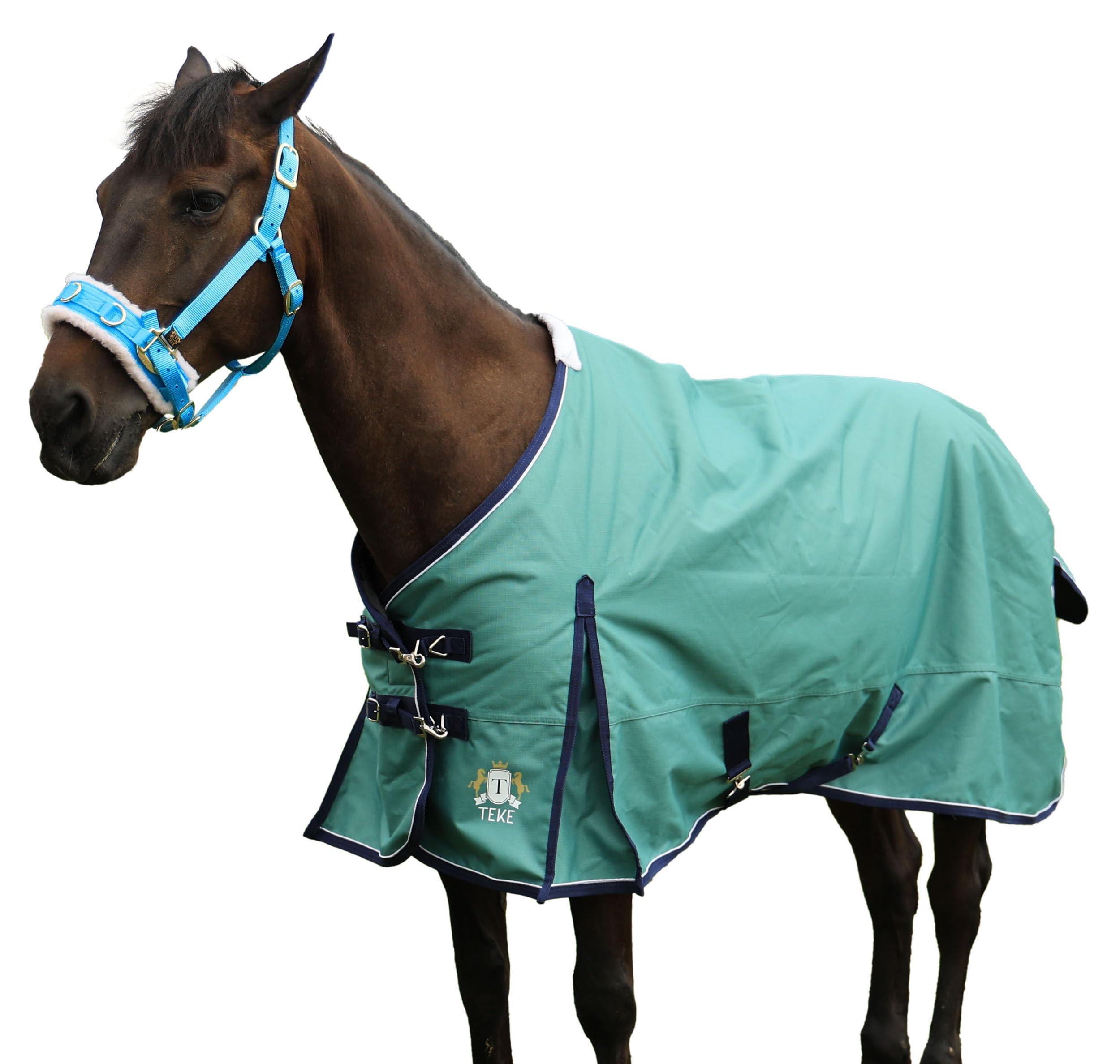 T TEKE Deluxe 1200D Horse Turnout Sheet, 0g No Fill | Waterproof & Breathable Ri