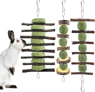 ERKOON 3PCS Bunny Chew Toys, Rabbit Chew Toys for Teeth Grinding, Improve Dental Health, 100% Natural Apple Wood Timothy Grass Cake Treats for Rabbits Bunnies Hamsters Chinchillas Guinea Pigs (3PCS)