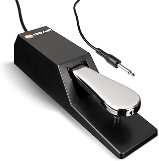 M-AUDIO SP-2 Universal Sustain Pedal | Classic Piano-Style Pedal, Universal Compatibility with MIDI Keyboards, Pianos, and Synthesizers
