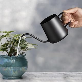 Metal Watering Can for Indoor Plants - Small Stylish Watering Can for Easy Plant Care, Black