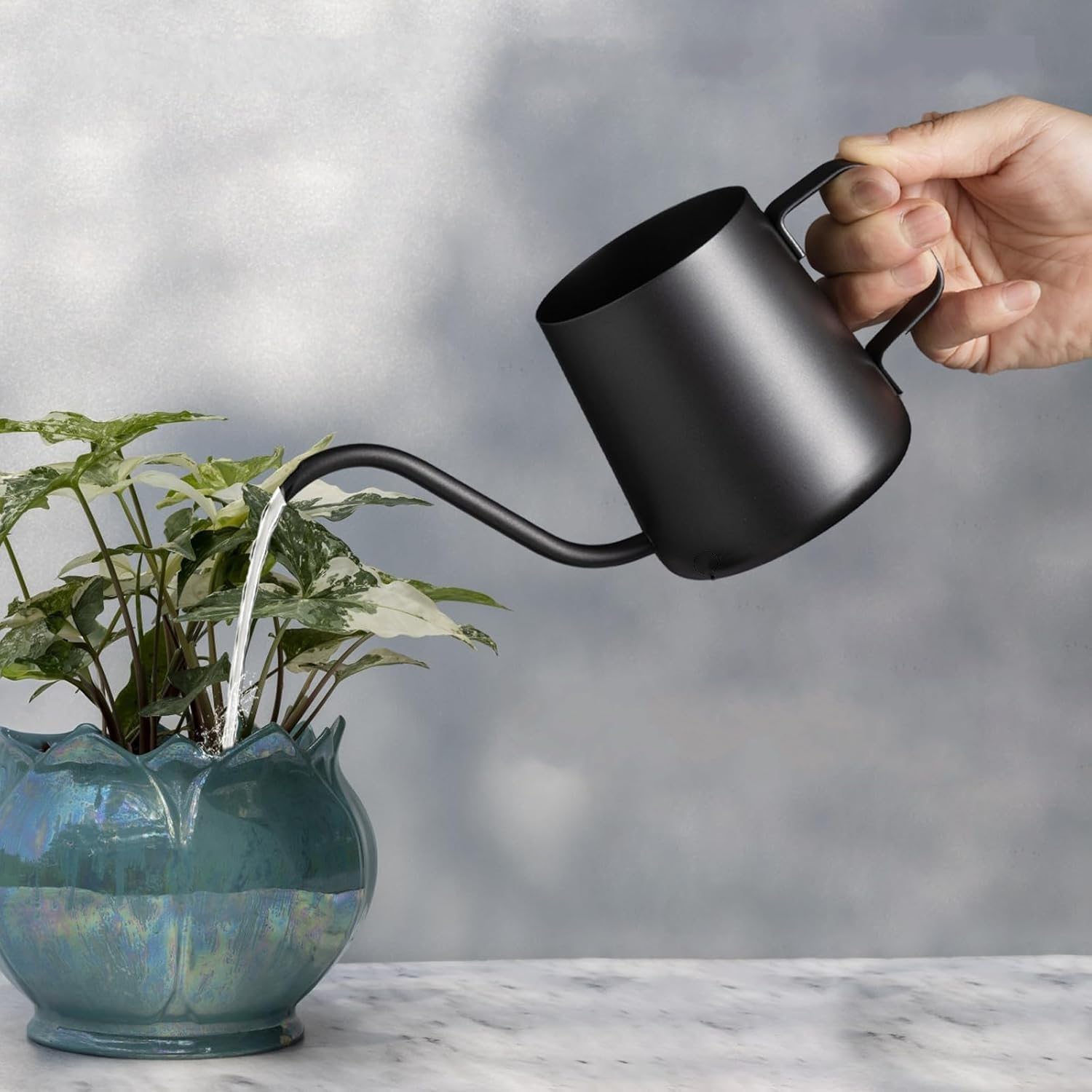 Metal Watering Can for Indoor Plants - Small Stylish Watering Can for Easy Plant