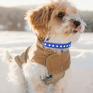 Dog Collar for Small Medium Dogs, Durable Soft Leather Collar for Girls and Boys, Adjustable Puppy Collar for Running and Playing