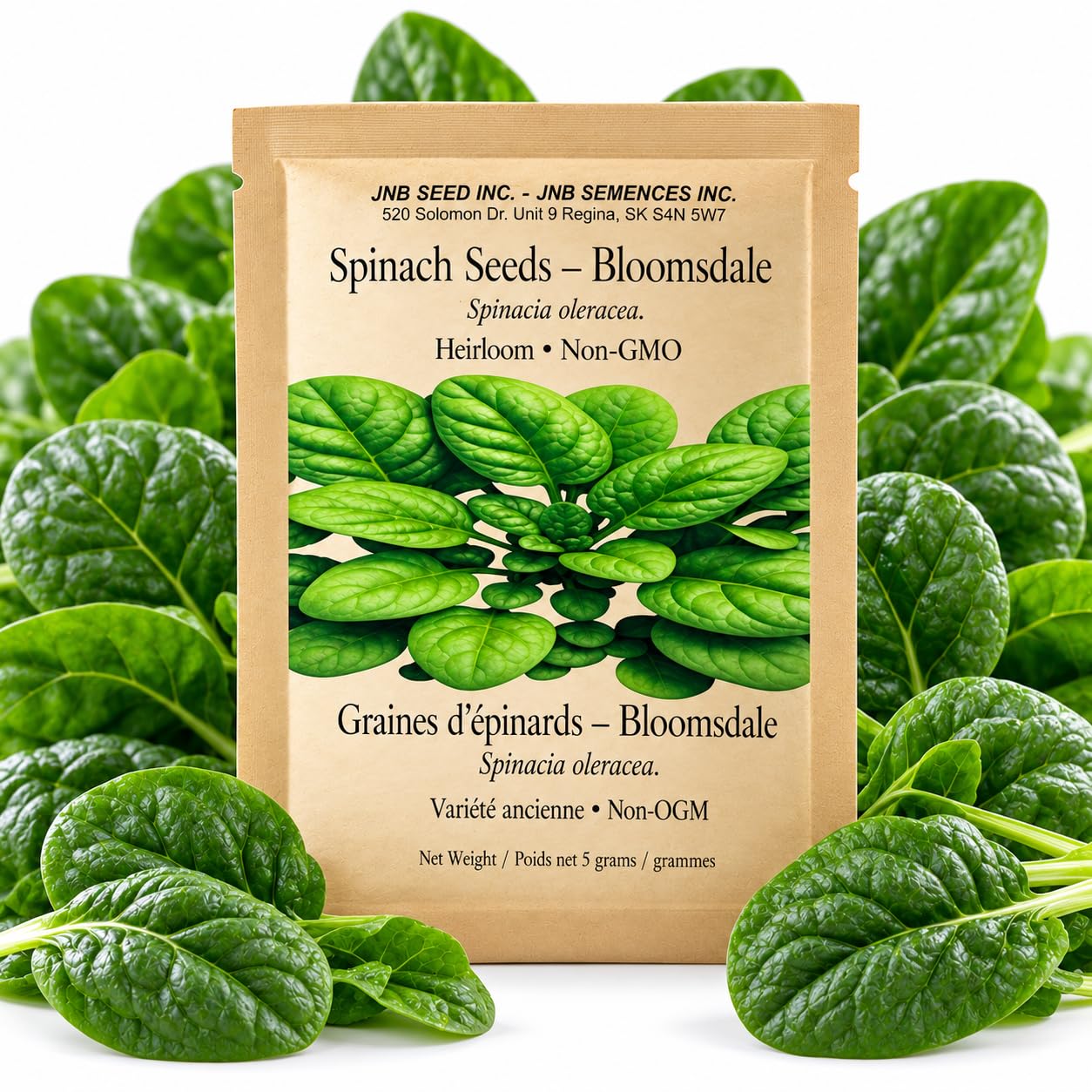 Bloomsdale Long Standing Spinach Seeds 5 Grams Approx 300 Seeds Canada | Family 