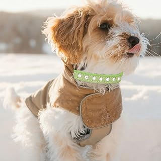 Dog Collar for Small Medium Dogs, Durable Soft Leather Collar for Girls and Boys, Adjustable Puppy Collar for Running and Playing