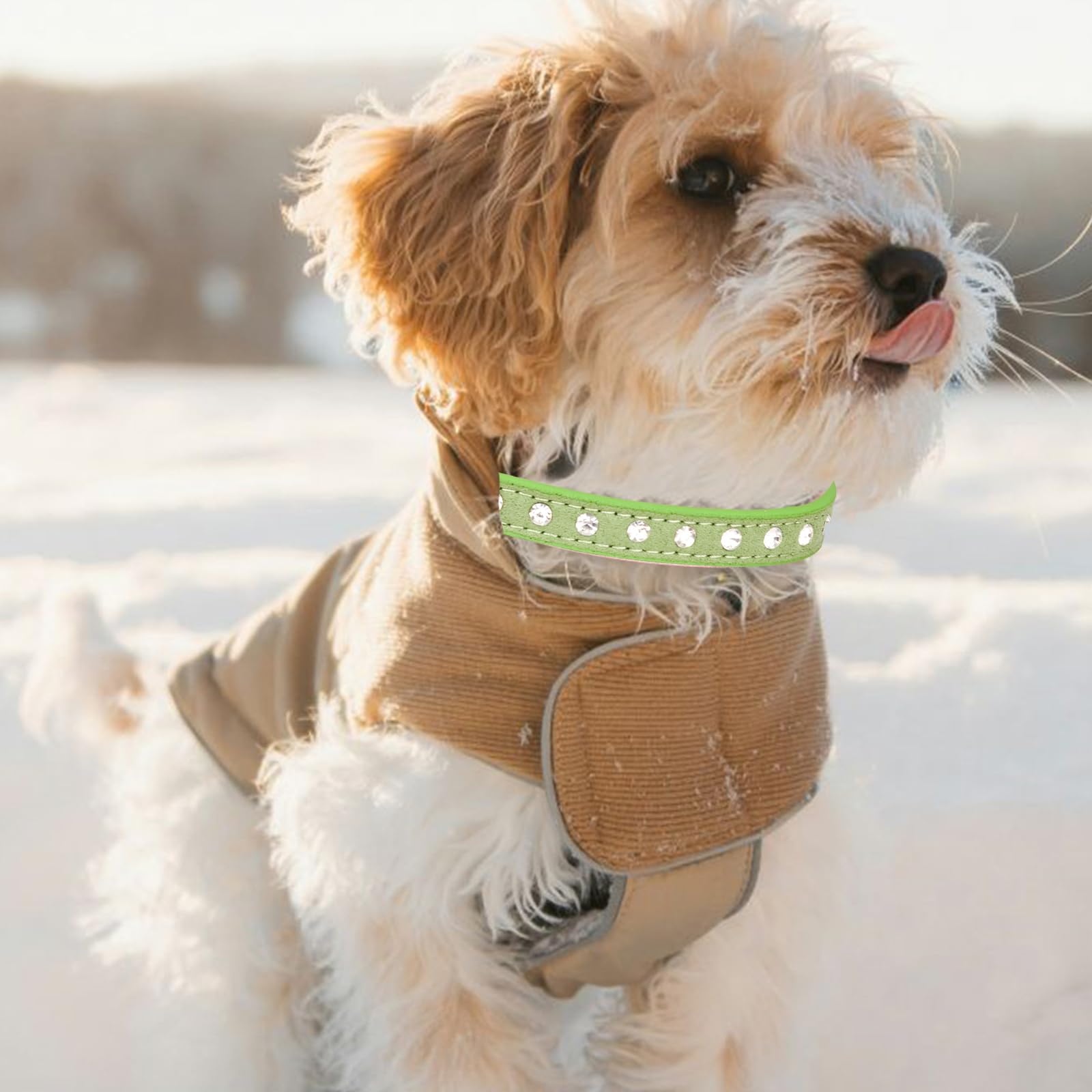 Dog Collar for Small Medium Dogs, Durable Soft Leather Collar for Girls and Boys