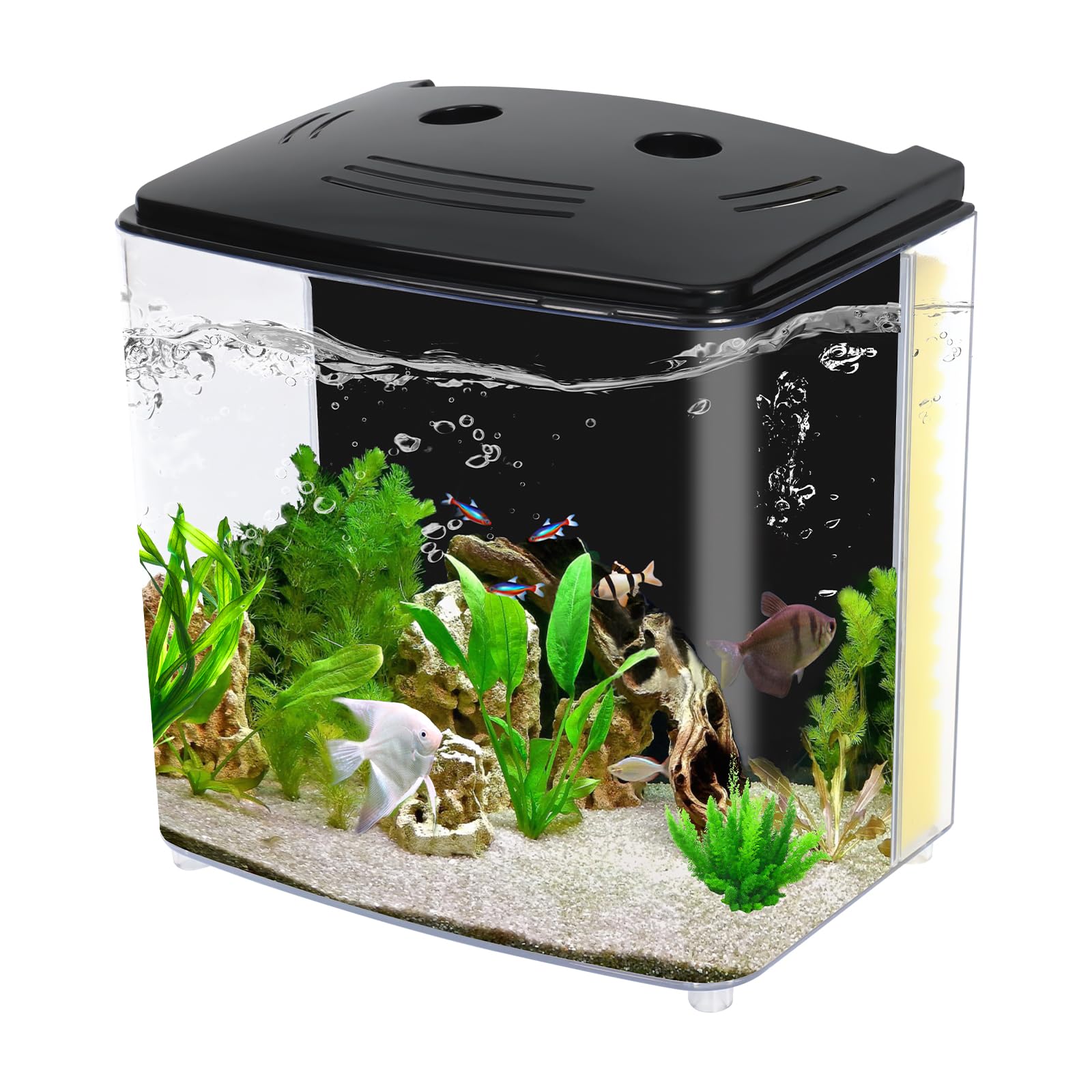 AQUANEAT Fish Tank, 1.2 Gallon Aquarium, Small Betta Fish Tank Starter Kit with 