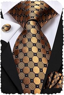 Hi-Tie Men Ties Sets Silk Stripe Paisley Necktie Pocket Square Cufflinks for Business Wedding