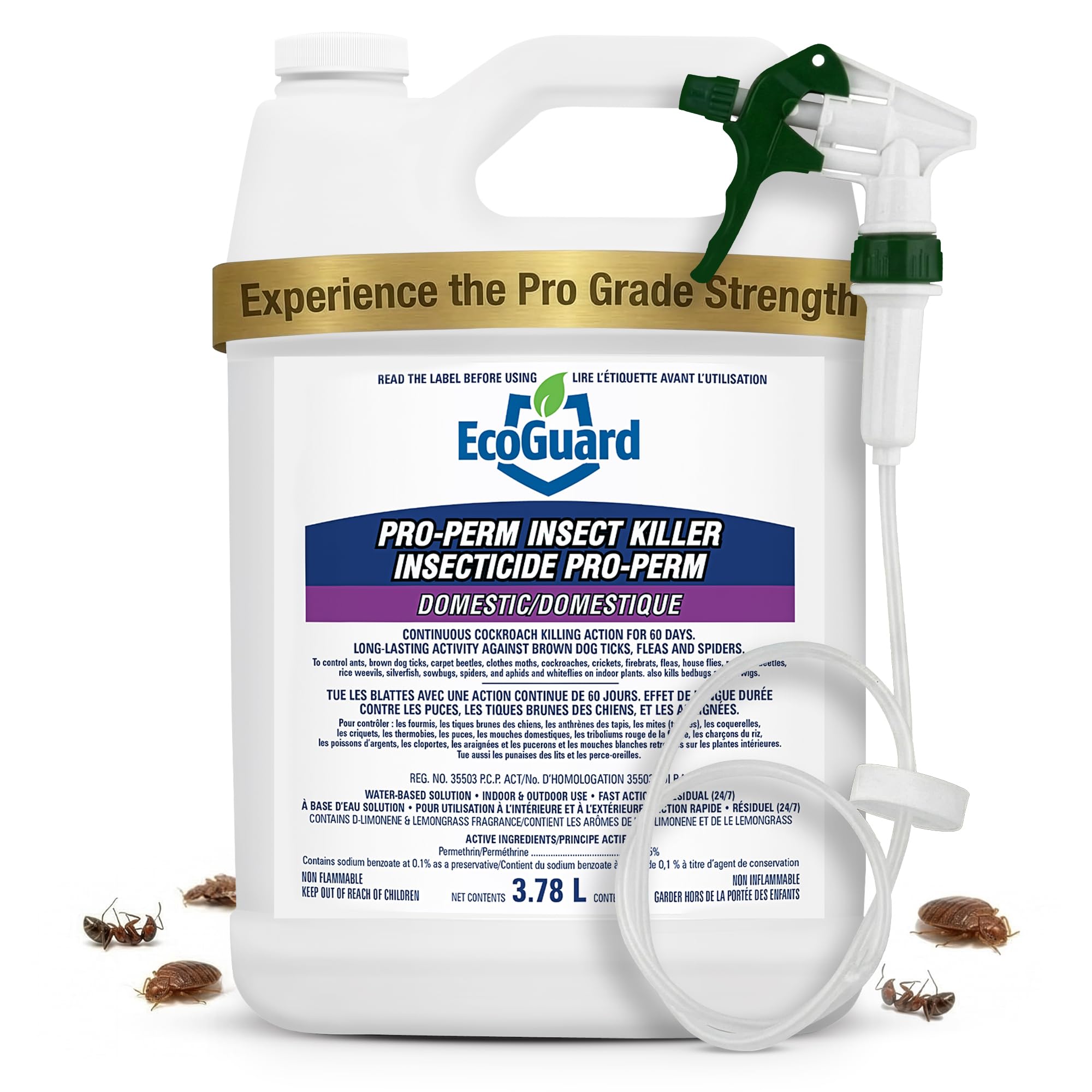 EcoGuard Pro-Perm Insect Killer 3.78L | Water-Based, No-Dilution Required Insect