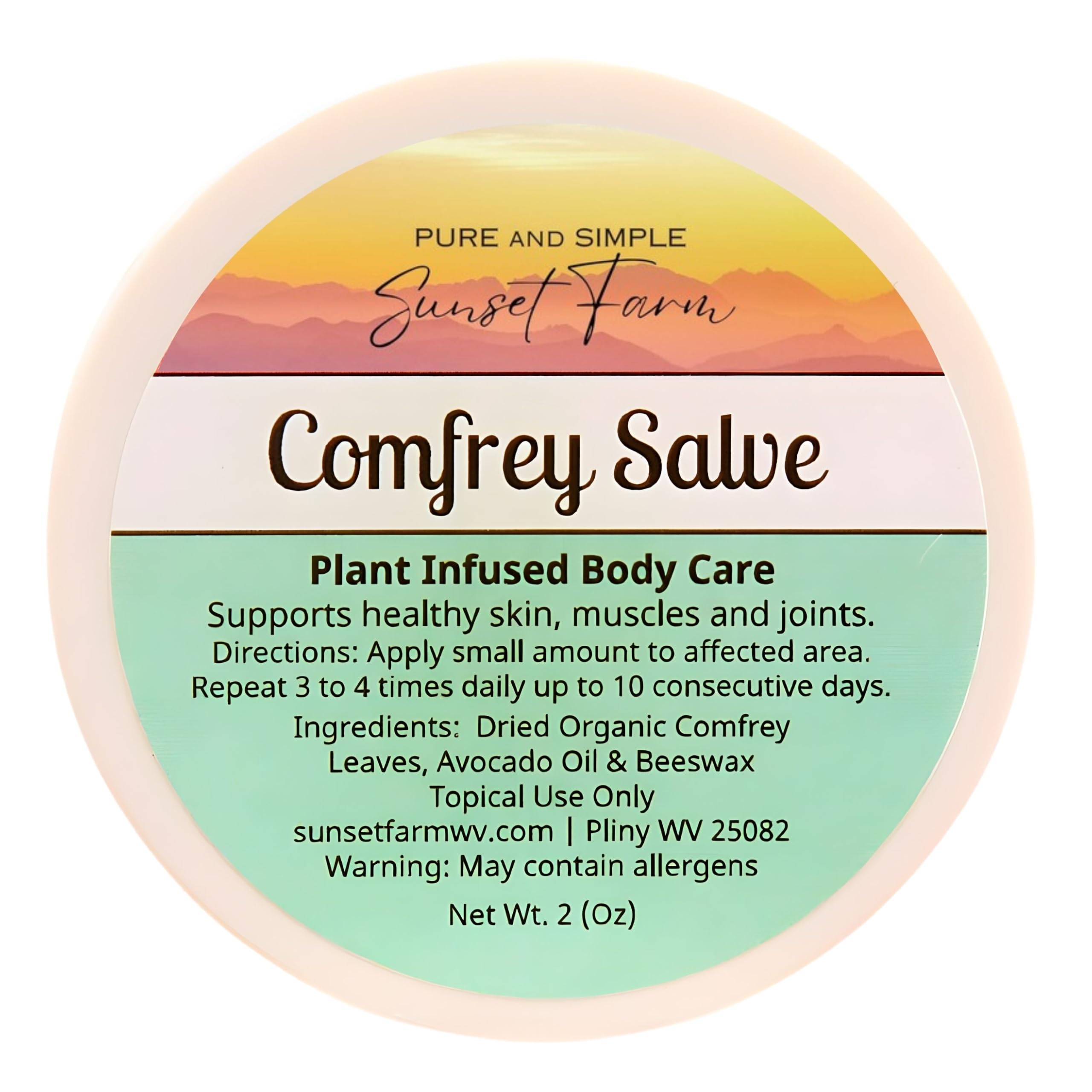 Comfrey Salve | Organic, Non-GMO, Small-Batch Herbal Balm | Family Made in WV | 