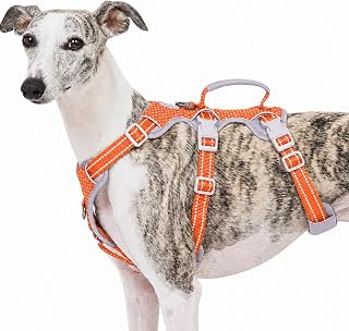 Huntboo Escape Proof Dog Harness, No Pull Reflective Harness with Lift Handle, Adjustable Pet Vest with Front and Back Leash Clips for Small Medium Large Dogs Walking Hiking Training (Orange,L)