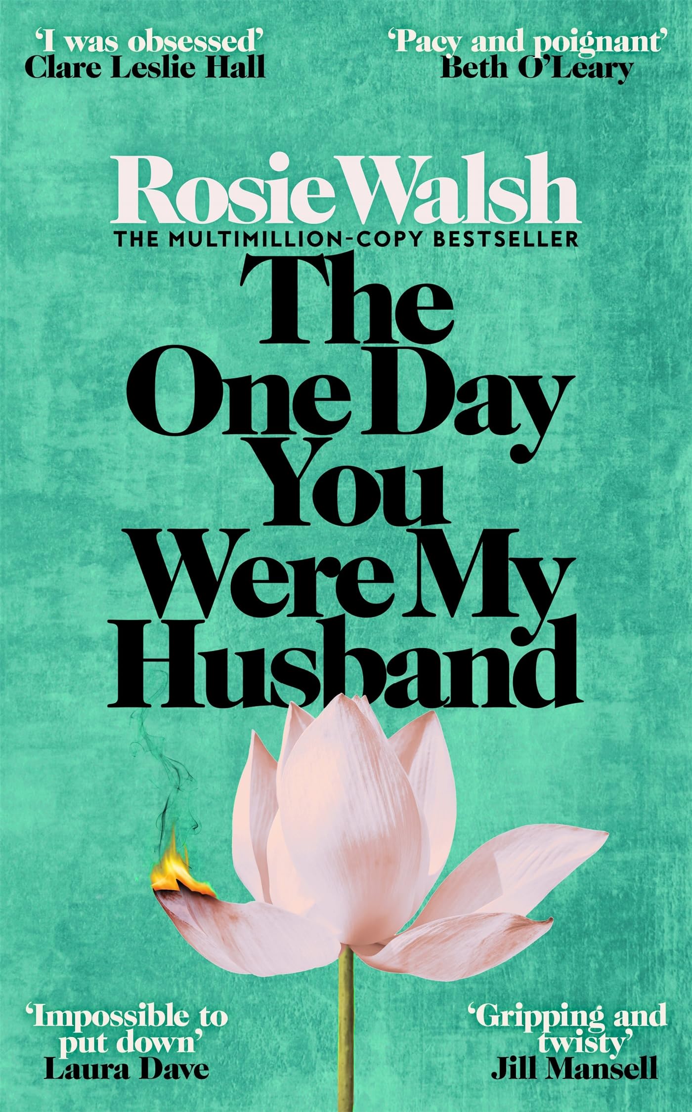 The One Day You Were My Husband: An edge-of-your-seat emotional thriller from th