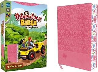 NIrV, Adventure Bible for Early Readers, Leathersoft, Pink, Full Color