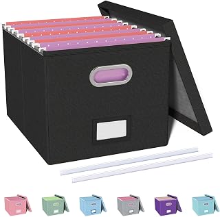 Oterri File Box with Lid & Handle, Letter Legal Size Filing Box, File Organizer for Hanging File Folders, File Folder Organizer Storage Bin for Home Office School (1 Pack, Black)