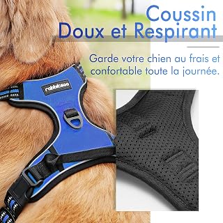 rabbitgoo L Arnet Blue Reflective Dog Vest Harness Adjustable for Large Dogs, Front Hook Lead Hook for Hiking, Car Journey, American Staff, Border Collie
