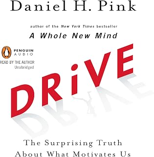 Drive: The Surprising Truth About What Motivates Us