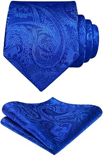 HISDERN Cravate Homme Paisley Cravates en Soie pour Hommes Mariage Cravatte et Pochette Set