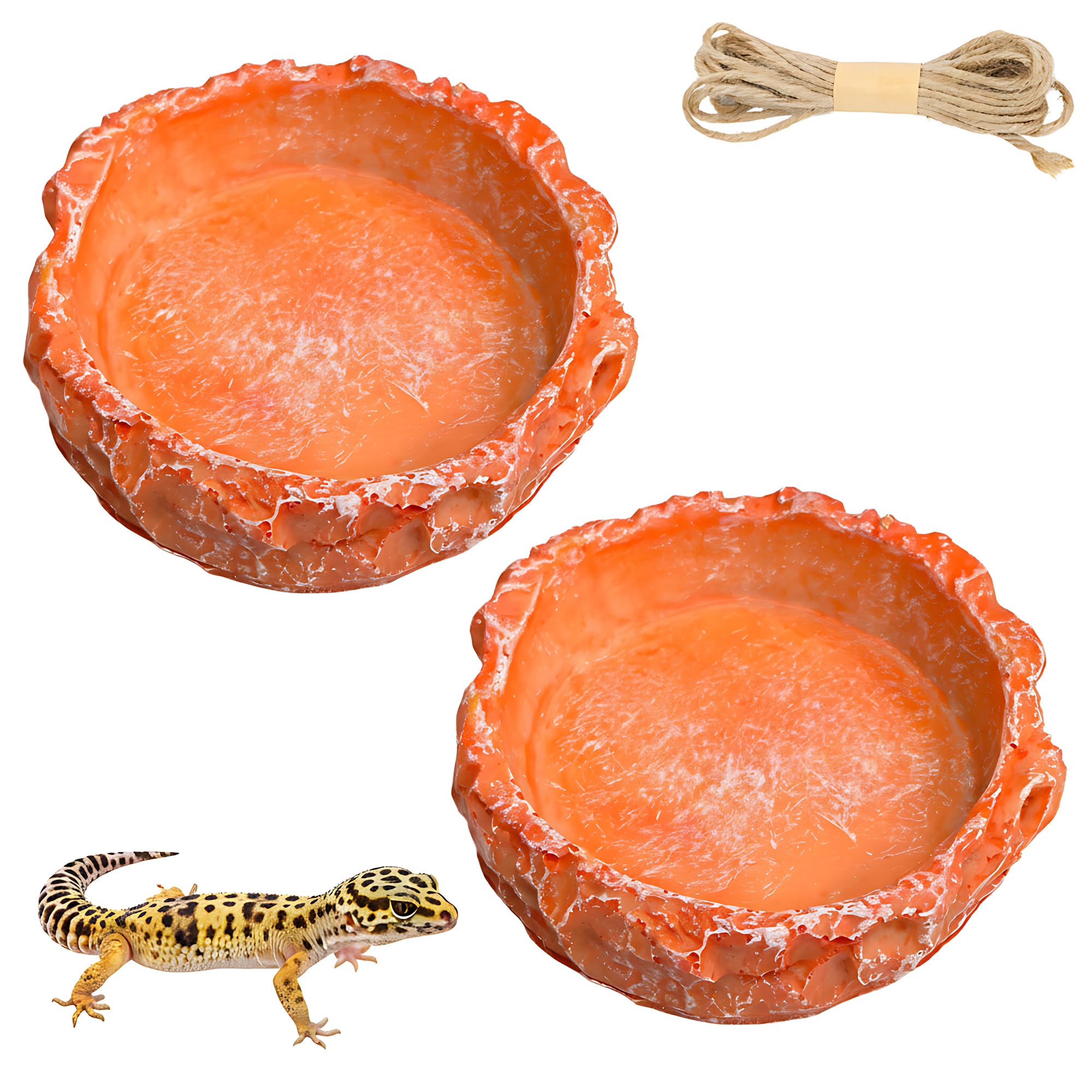 ChiiGe 2-Pack Small Reptile Water Dish for Juvenile Bearded Dragon Gecko | Anti-