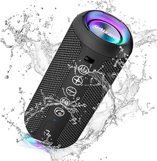 Ortizan X10 Portable Bluetooth Speaker (1st Gen), IPX7 Waterproof, Wireless | Big Sound and Deep Bass, TWS Pairing, 30Hrs of Playtime, for Home/Party/Outdoor/Beach, Birthday Gifts for Men Women - Black