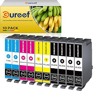 Gureef Compatible with Replacement 604xl Ink Cartridges Multipack | for Epson XP2200 Ink Cartridges Compatible with XP 3200 XP 4200 XP-4205 XP 2200 XP-2205 WF-2935 (10 Pack)