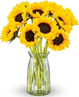 Benchmark Bouquets - Real Sunflowers with Glass Vase - Fresh Flowers for Delivery - Yellow Flowers in a Vase - Gifts for Mom (10 Stems)