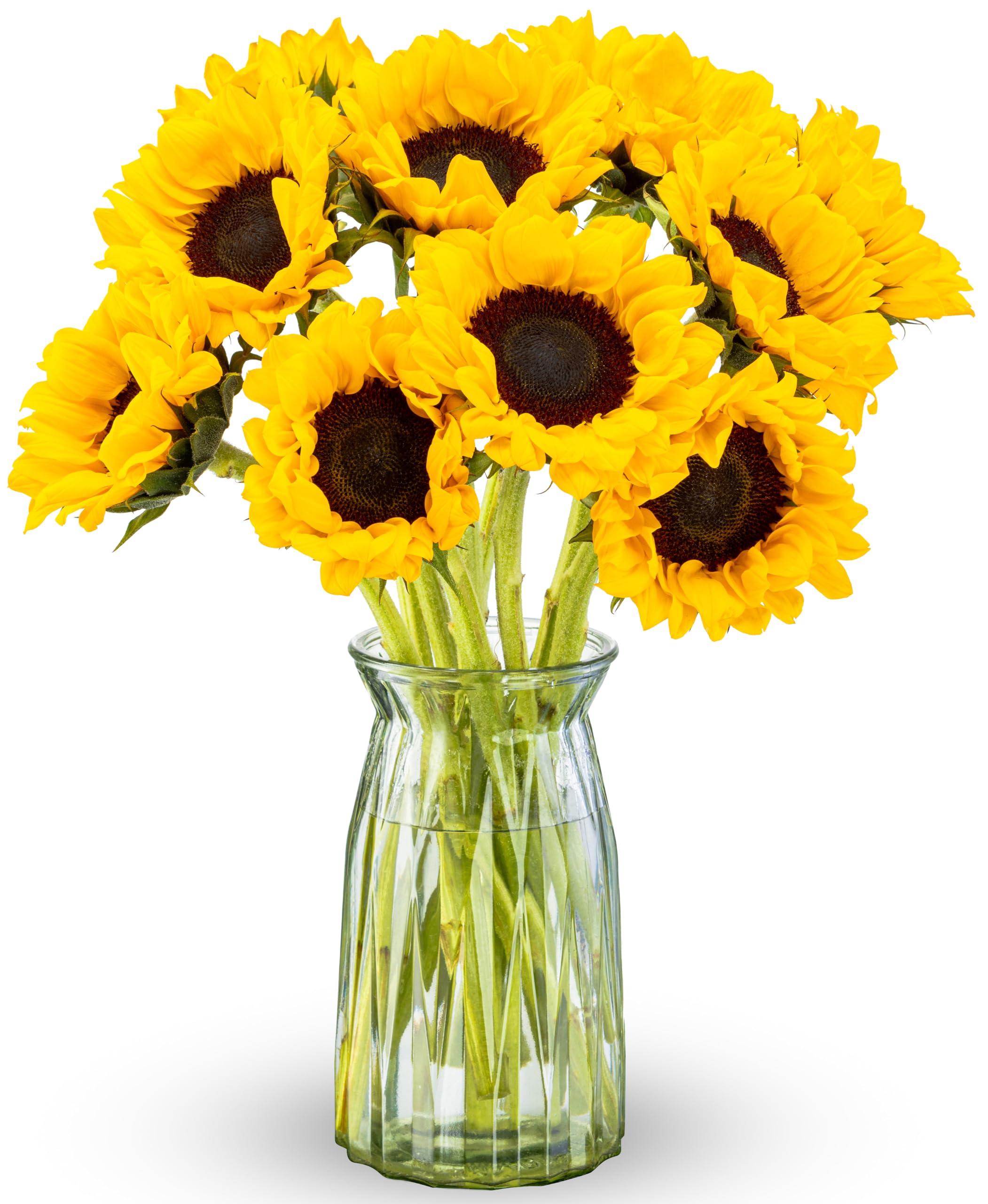 Benchmark Bouquets - Real Sunflowers with Glass Vase - Fresh Flowers for Deliver