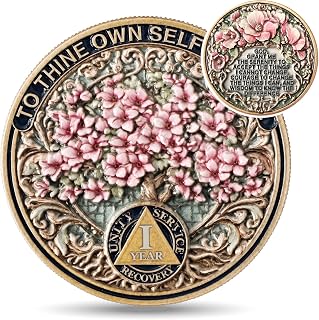 EXY 1 Year Sobriety Coin | Resilient Blossoming Tree Design | 3D Texture AA NA Medallions & Recovery Chips | Anniversary Sobriety Gift Set with Token Capsule, Stand & Card for Men Women
