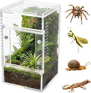 Jumping Spider Enclosure, Clear Acrylic Tarantula Habitat with Ventilation | Small Arboreal Terrarium for Spiders, Slings, Mantis, Isopods, 15x8x8cm