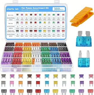 300pcs Car Fuses Kit, 160 Mini & 90 Standard & 50 Micro Blade Fuses Assorted Set, 2A-40A, Automotive Replacement Kit For Car Boat RV Truck Motorcycle with Puller Extraction Tool & Storage Case