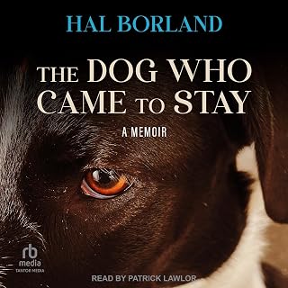 The Dog Who Came to Stay: A Memoir