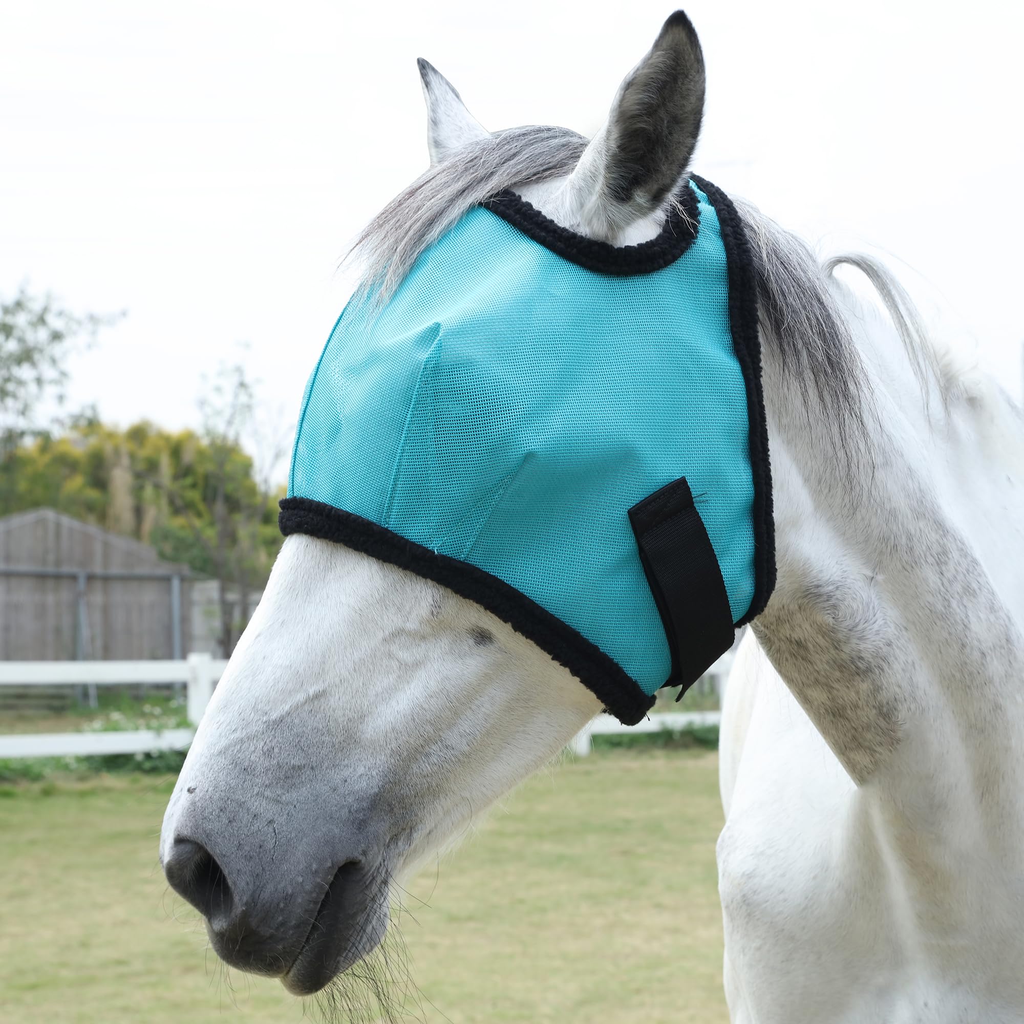 LEAFOREST Horse Fly Mask UV Protection Fine Mesh All Round Without Ears