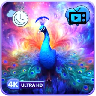 Iridescent Peacock Plume Scenes, Vibrant Bird Art Screensaver & Relaxing Music + Sleep Timer