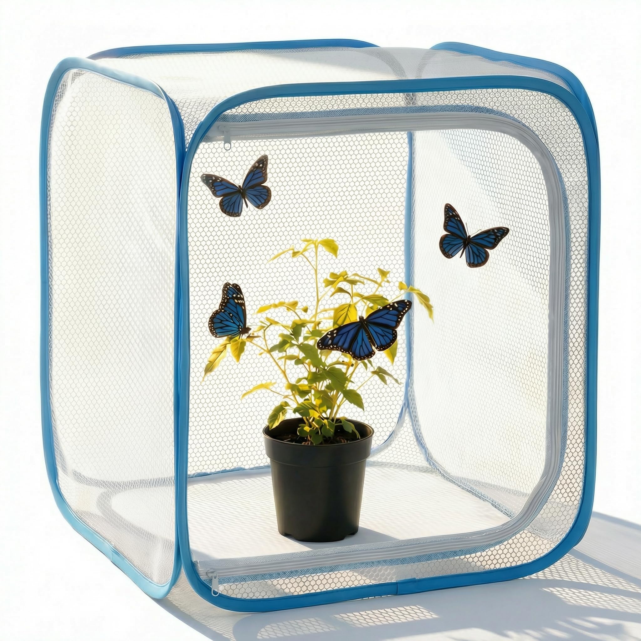 KraAra Insect & Butterfly Habitat Cage, Portable Pop-Up Terrarium with Mesh Side